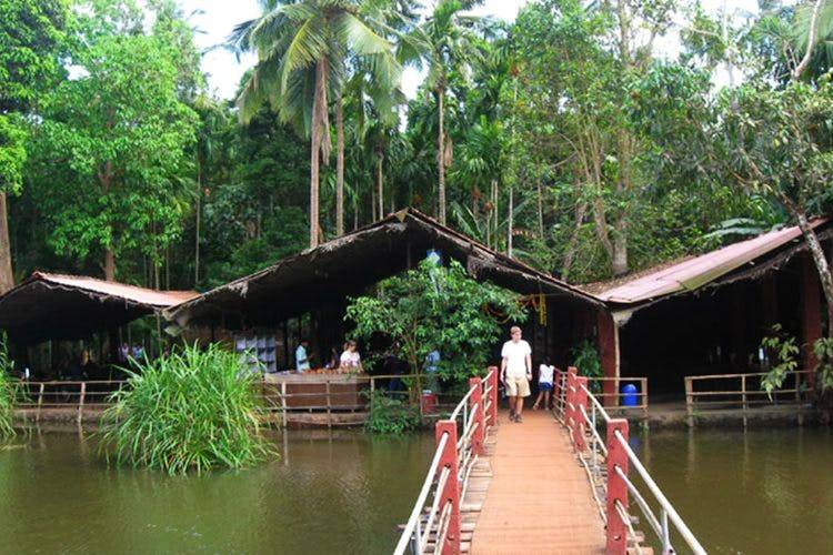 5 reasons to opt For Goa’s Spice Plantation