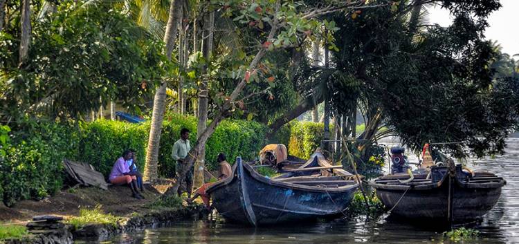 The Vibrant Aura of Kerala’s Backwaters