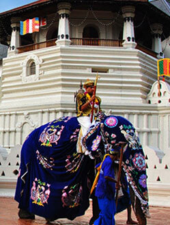 Sri Lanka Tourist Attractions Kandy