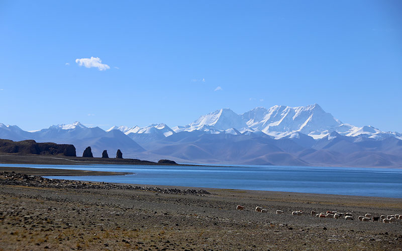 Kailash Trekking and Namtso Lake